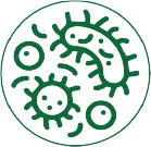 Effective Microorganisms