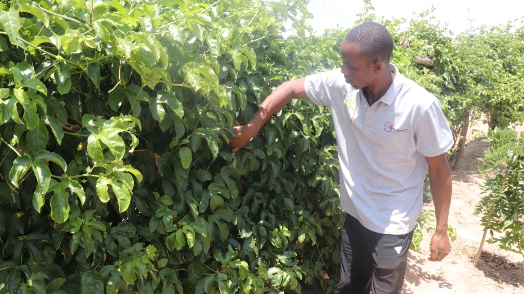 Husain’s Journey with SJS Organic Farm and Helvetas Tanzania